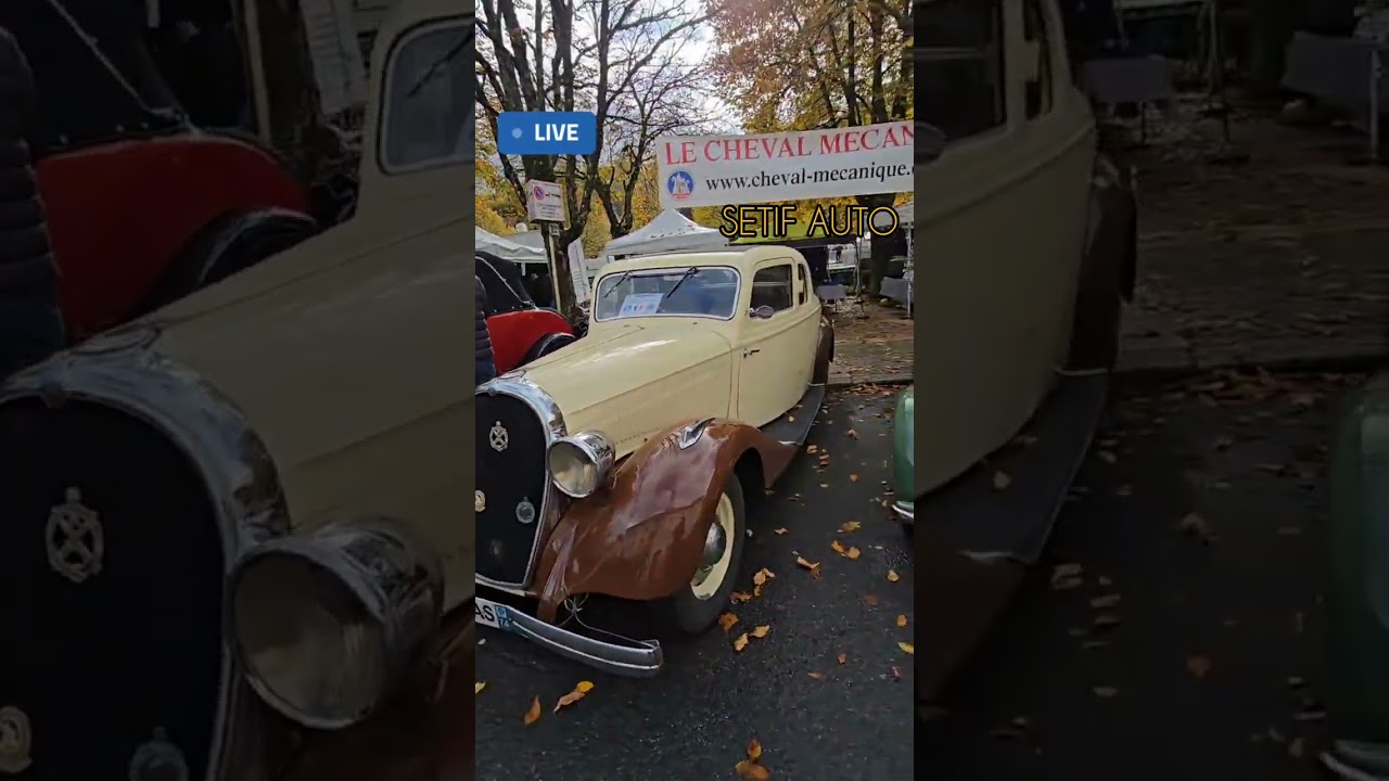 جولة في سوق السيارات القدية voiture ancienne 
