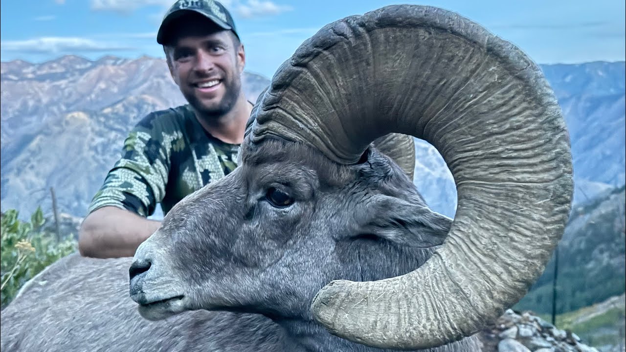 KING OF THE CURLS!!! Idaho Bighorn Sheep Hunt - Stuck N The Rut 204