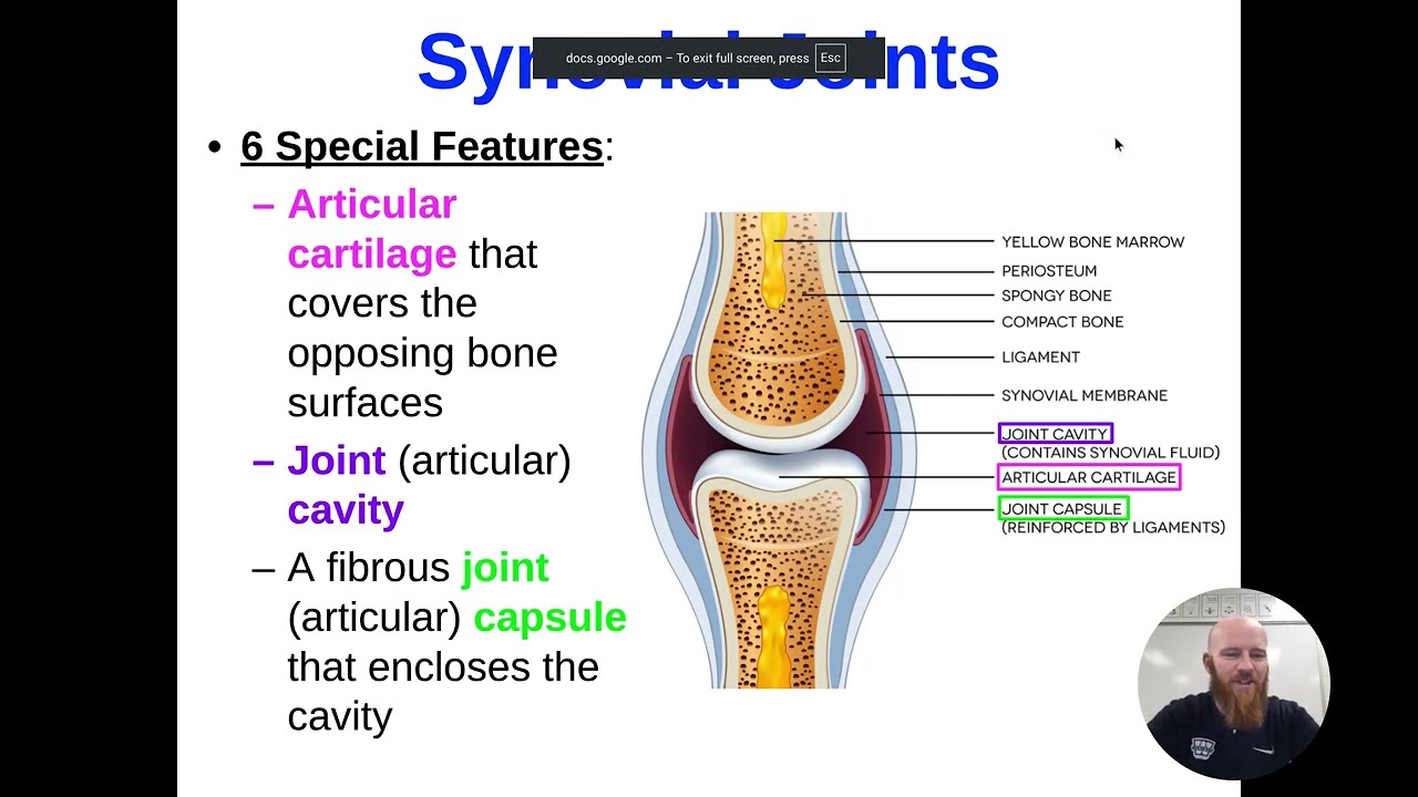 [11] Unit 2, Lesson 6 Presentation