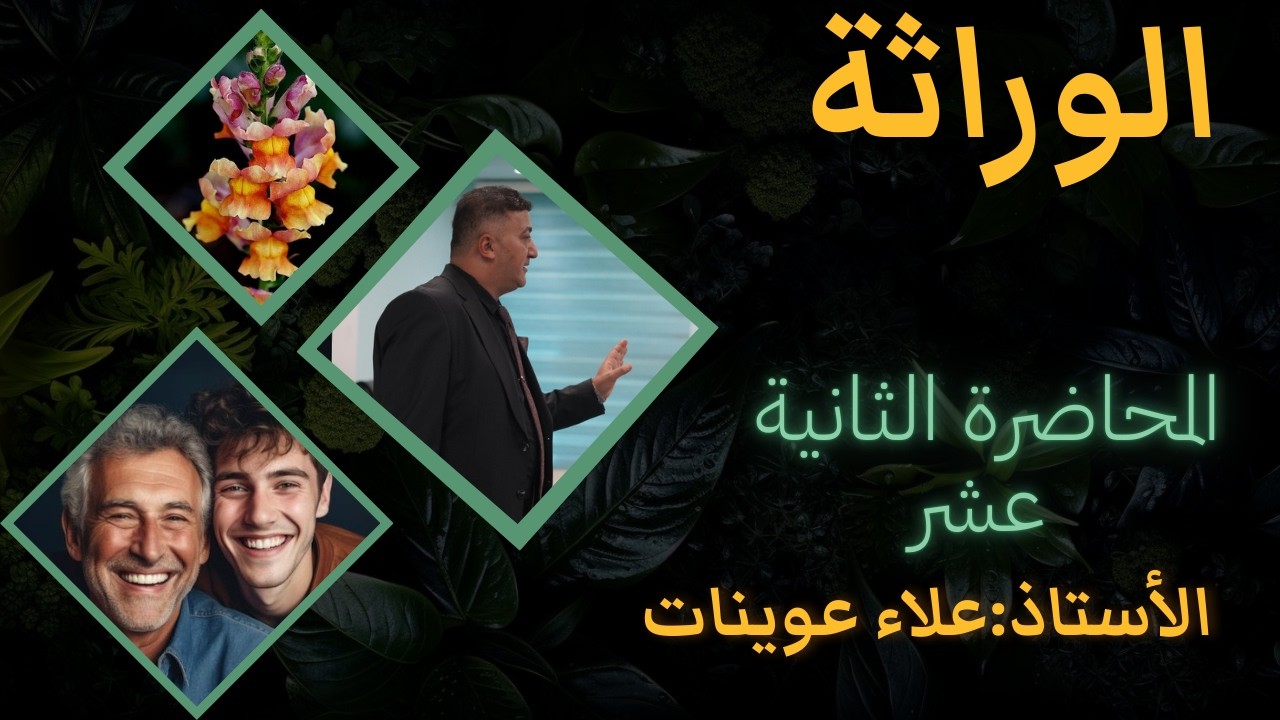 المحاضرة الثانية عشر للوراثة (تكملة قانون مندل الثاني + التضريب الاختباري والرجعي للصفتين )