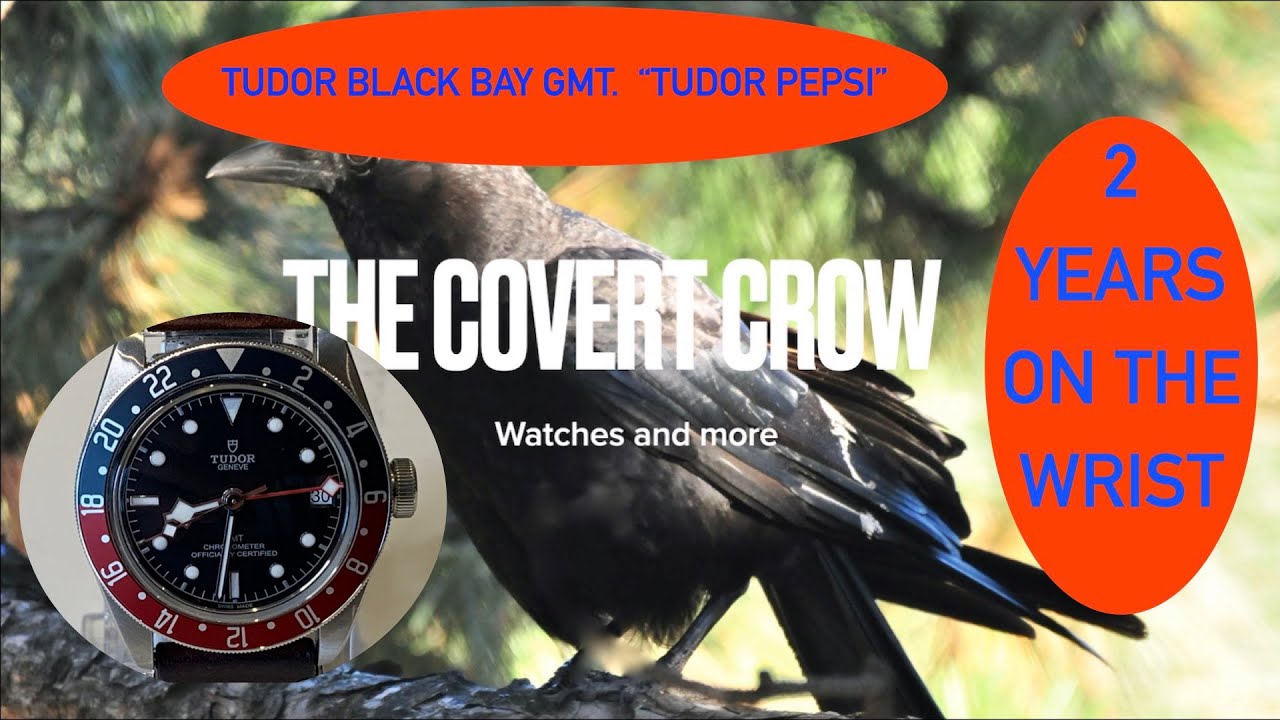 2 YEARS ON THE WRIST| TUDOR Black Bay GMT WATCH