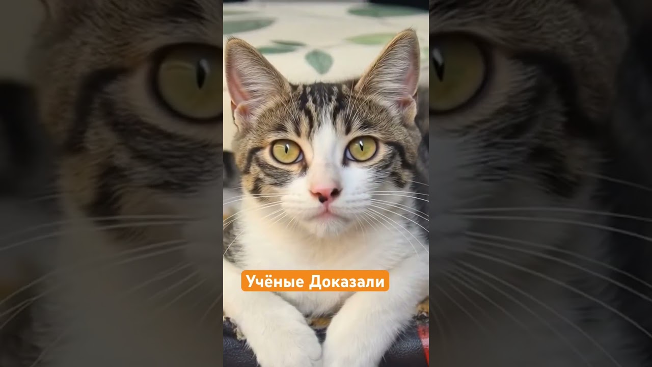 По данным Исследований