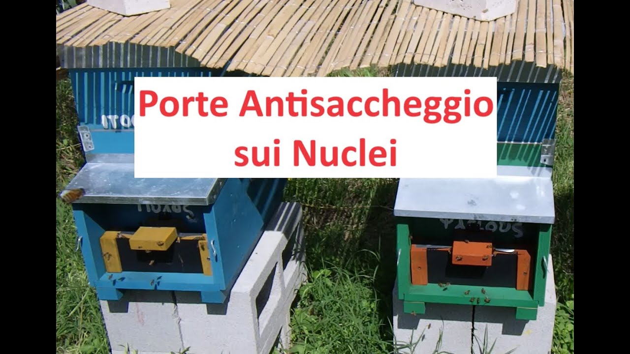 Porte anti saccheggio per arnie da 7 favi ( nuclei di api )