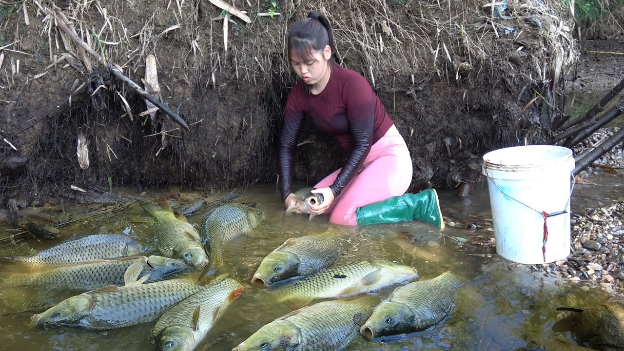 Girl’s Skills Catch Big Fish, Catch A Lots Of Fish In The Lakes Goes to Market Sell