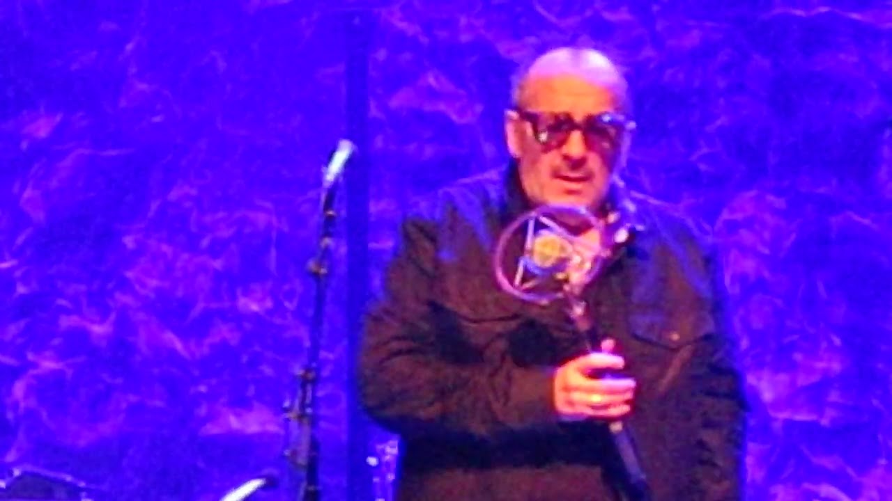 Elvis Costello - 