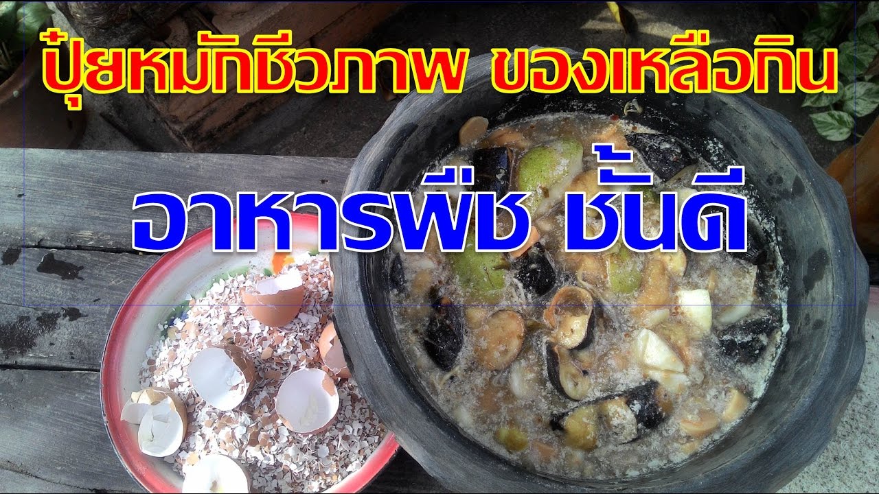 ปุ๋ยหมักชีวภาพของเหลือกิน อาหารพืชชั้นดี ช่วยการเจริญเติบโต ช่วยการออกดอกได้ดี I เกษตรปลอดสารพิษ