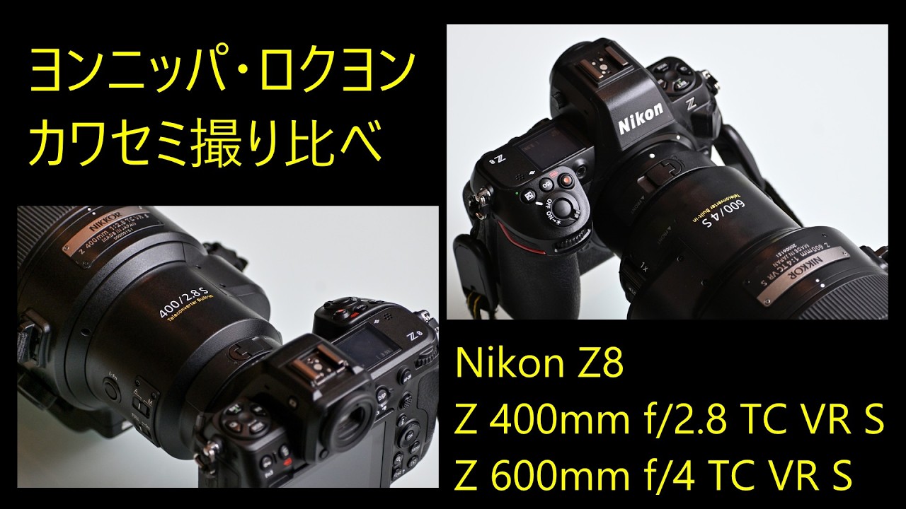 Nikon Z8 　カワセミ撮影　ヨンニッパ　ロクヨン　撮り比べ