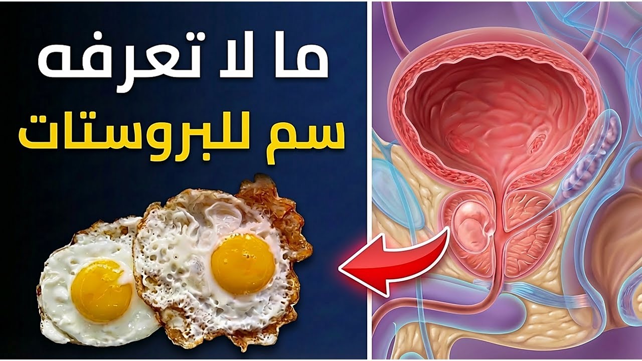 ماذا يحدث داخل الجسم؟ | ملاحظات حول التوازن الحيوي للأنسجة