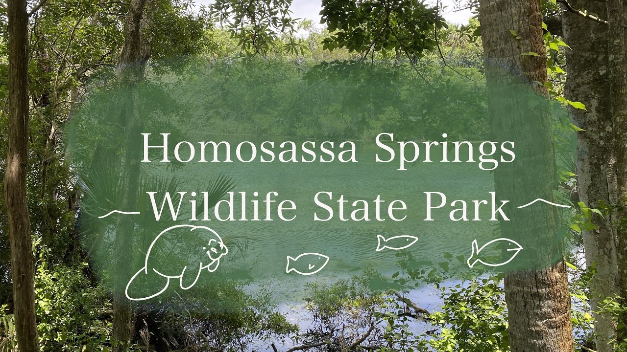 Homosassa Springs Wildlife State Park | Fun State Parks in Florida | Seeing Animals in Homosassa, FL