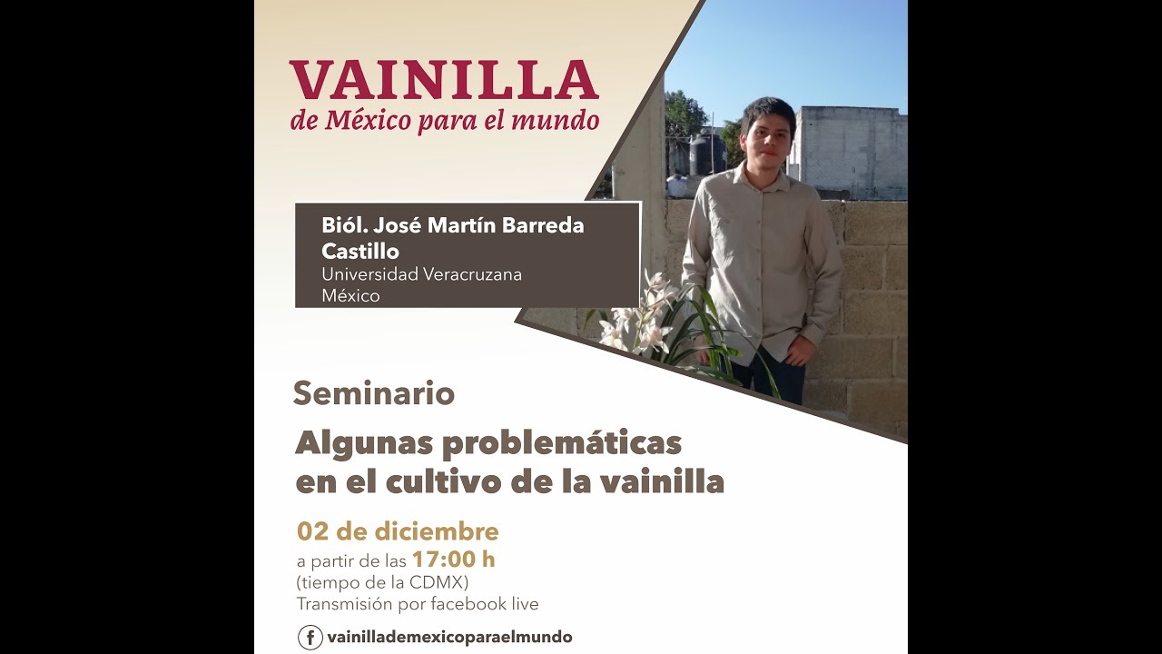 Algunas problemáticas en el cultivo de la vainilla