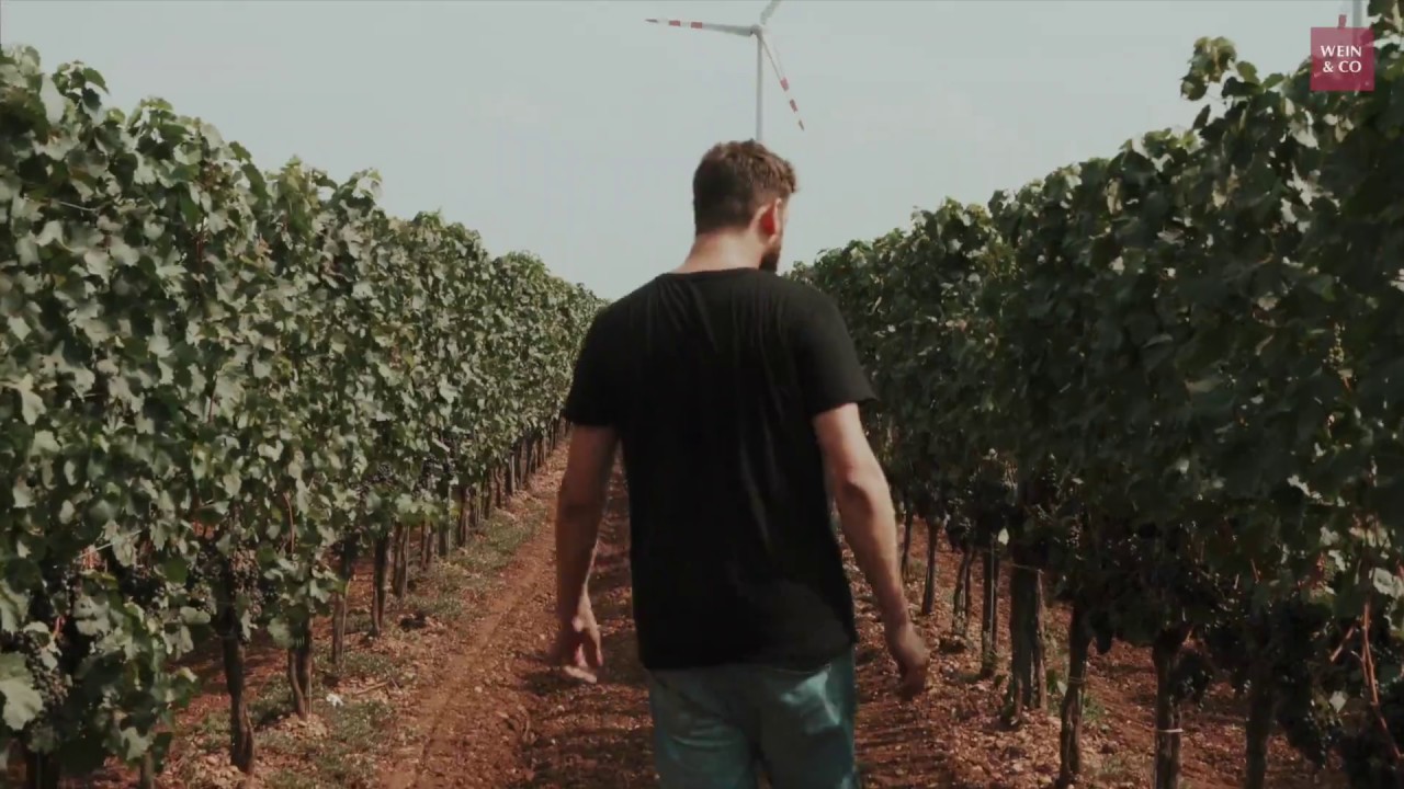Winzer des Monats September 2018 Weingut Schwarz