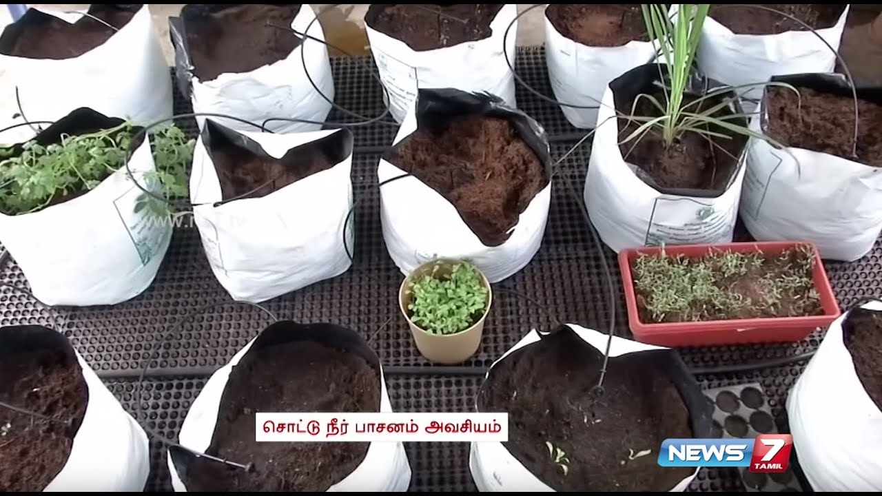 Coconut Pith instead of Soil for Terrace Garden | Drip Water Irrigation | Poovali | News7 Tamil