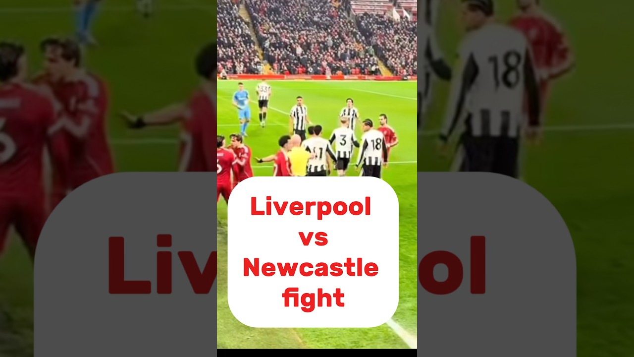 Cody Gakpo almost injured as Liverpool abd Newcastle get into a scuffle following a deadly tackle.