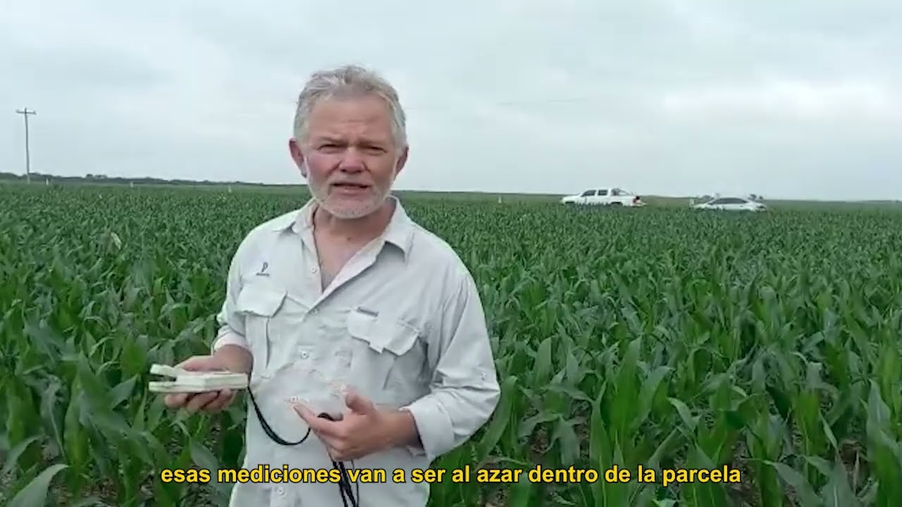 #Reddeensayos  - Cristian Hanel  explica cómo usar el #SPAD Minolta