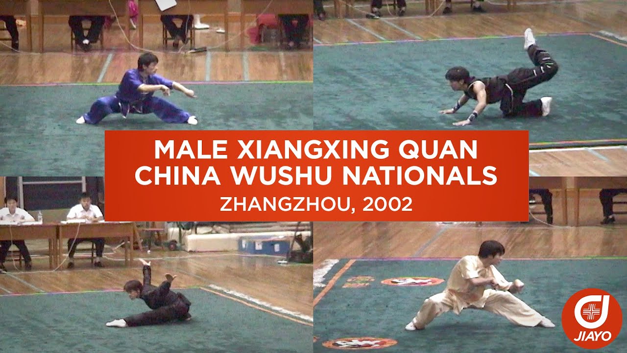 Male Xiàng Xíng Quán - Imitative Boxing - 2002 China Wushu Nationals