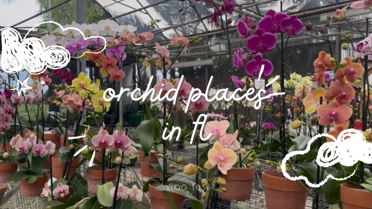 ORCHID GARDENS IN SWFL