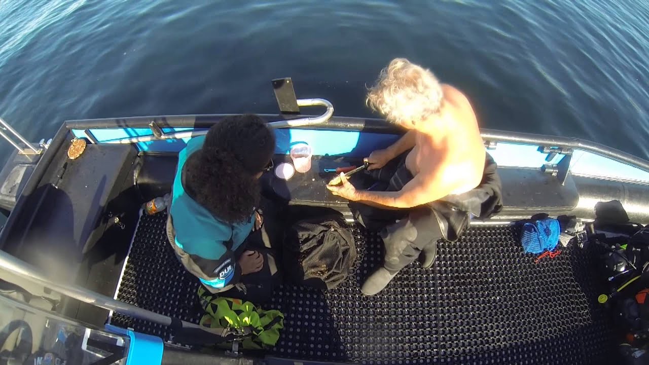 scalloping