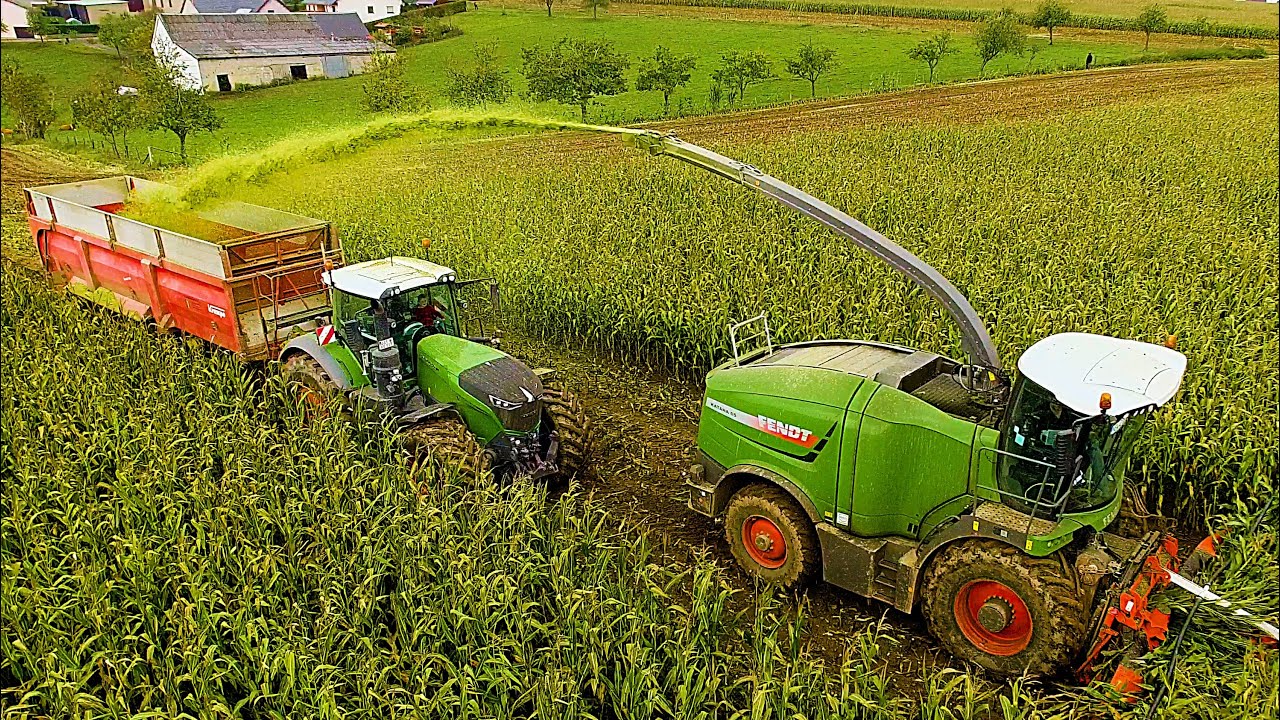 Fendt Katana 65 / Fendt 1050 / Metz Farming / Mais 2019 / Fendt 930 / Krampe / DJI 4K / maisernte