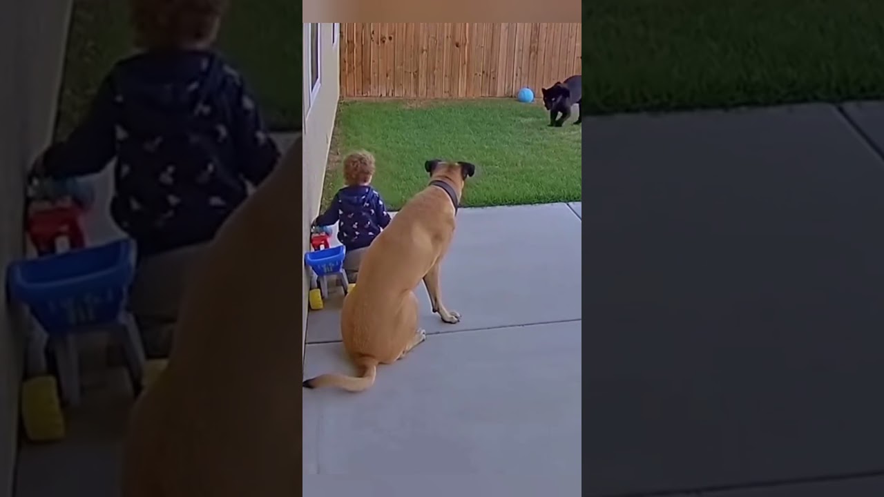 HEROES  AI#dogs #funny #shortvideo#ai AI VIDEO #aivideo
