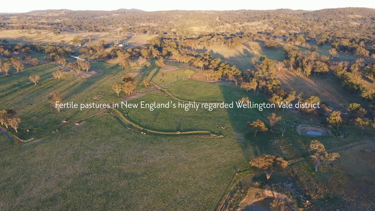 &lsquo;Rockdale&rsquo; & &lsquo;Lower Four Mile Bullock Paddock&rsquo;, Deepwater, Northern Tablelands, NSW