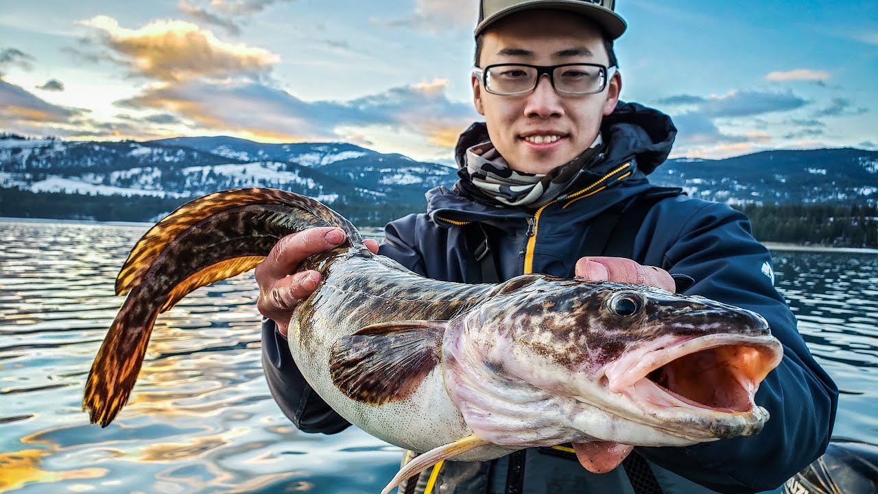 Burbot (Catch, Clean, Cook) | Full Day of Walleye & Burbot Action!