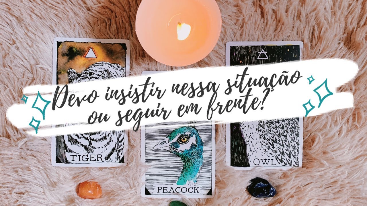 INSISTO OU DESISTO? DESCUBRA AGORA SE VALE A PENA OU NÃO! - Tarot responde