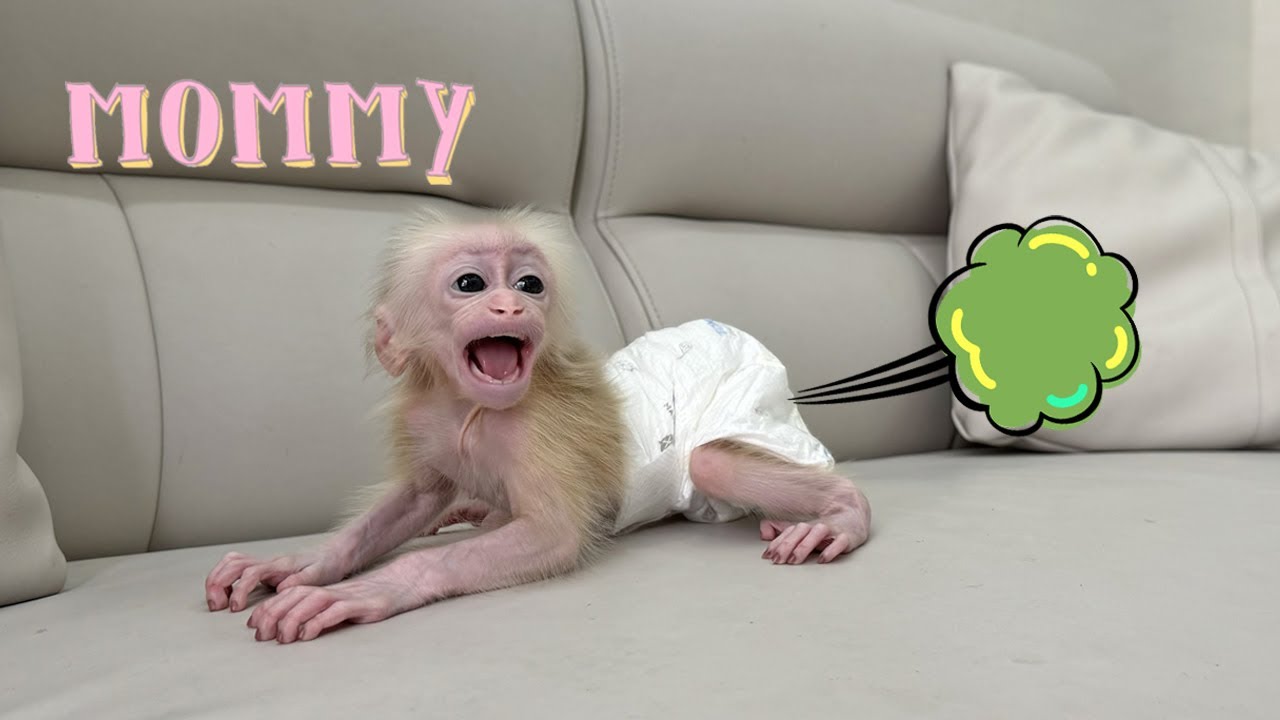 Lucky needs mom's help when pooping in diaper