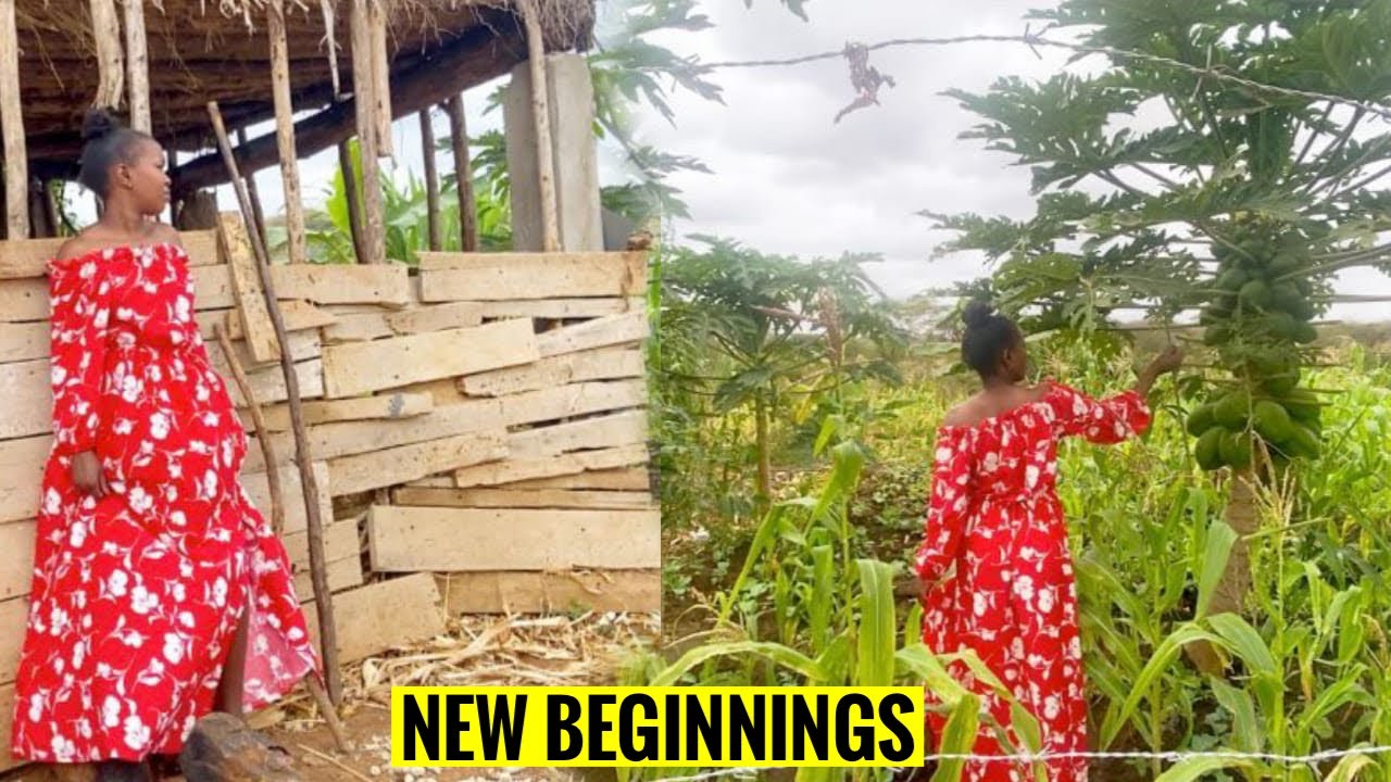 Building A NEW LIFE In The Countryside 🌿