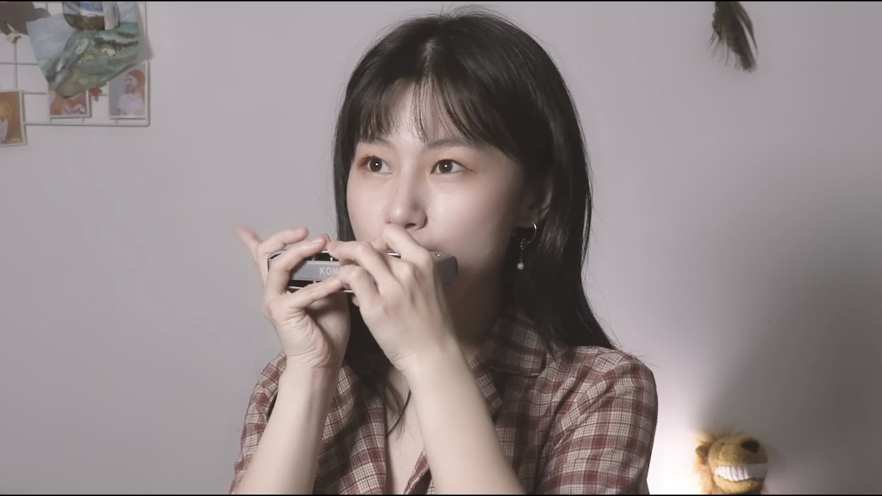 【harmonica】Lyra半音阶口琴演奏《很爱很爱你》（奶茶刘若英）Kiroro《长い间》｜园园sonoko