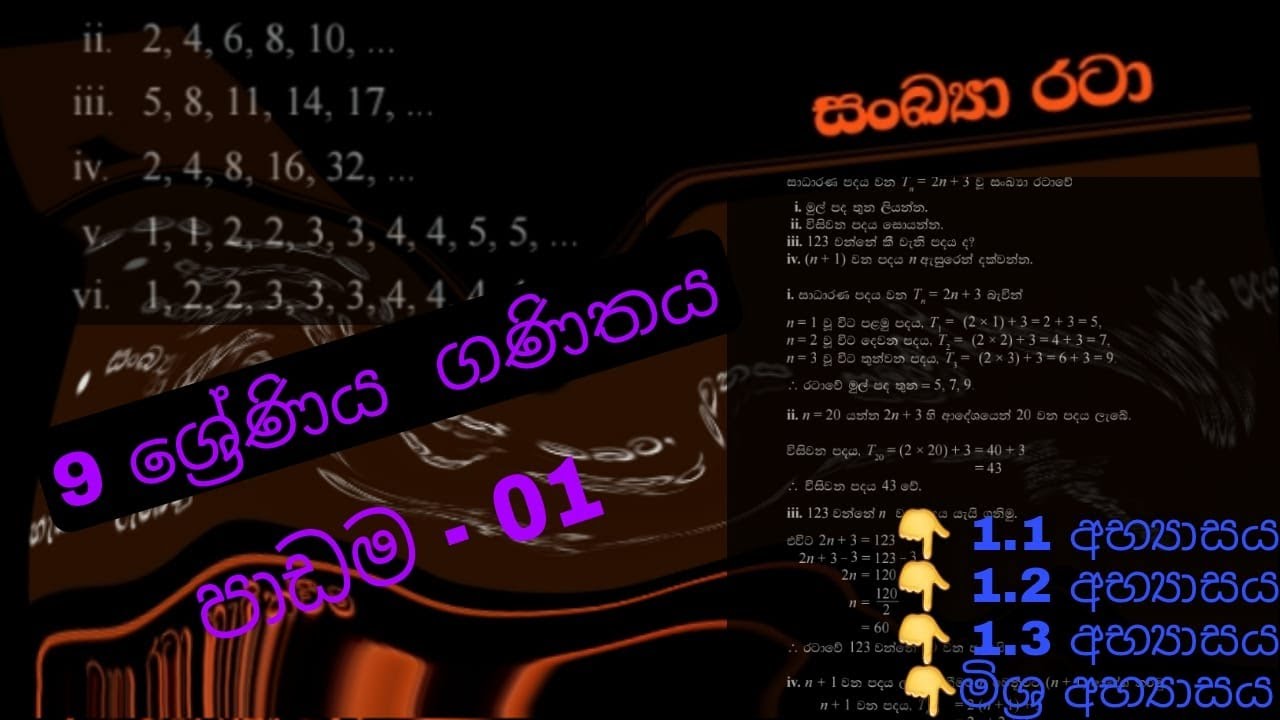 sankaya rata grade 9 | 9 wasara ganithaya sinhala | grade 9 math