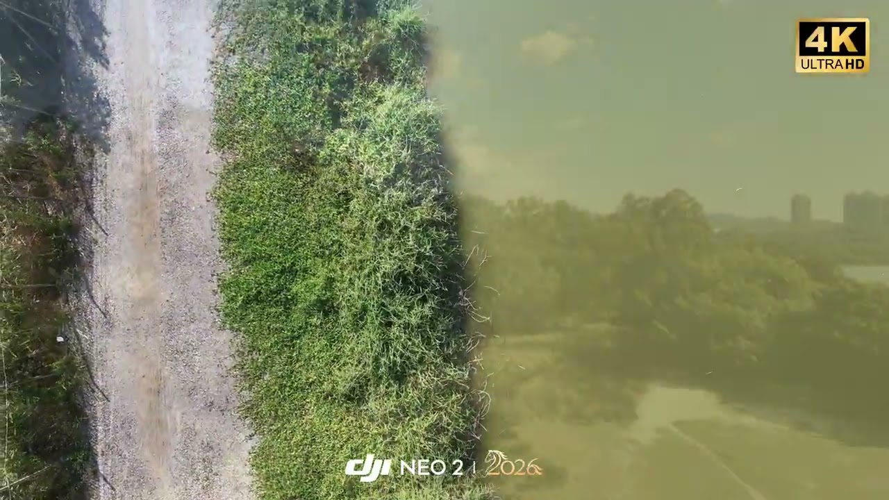 2026.02.06@南生圍 DJI NEO 2