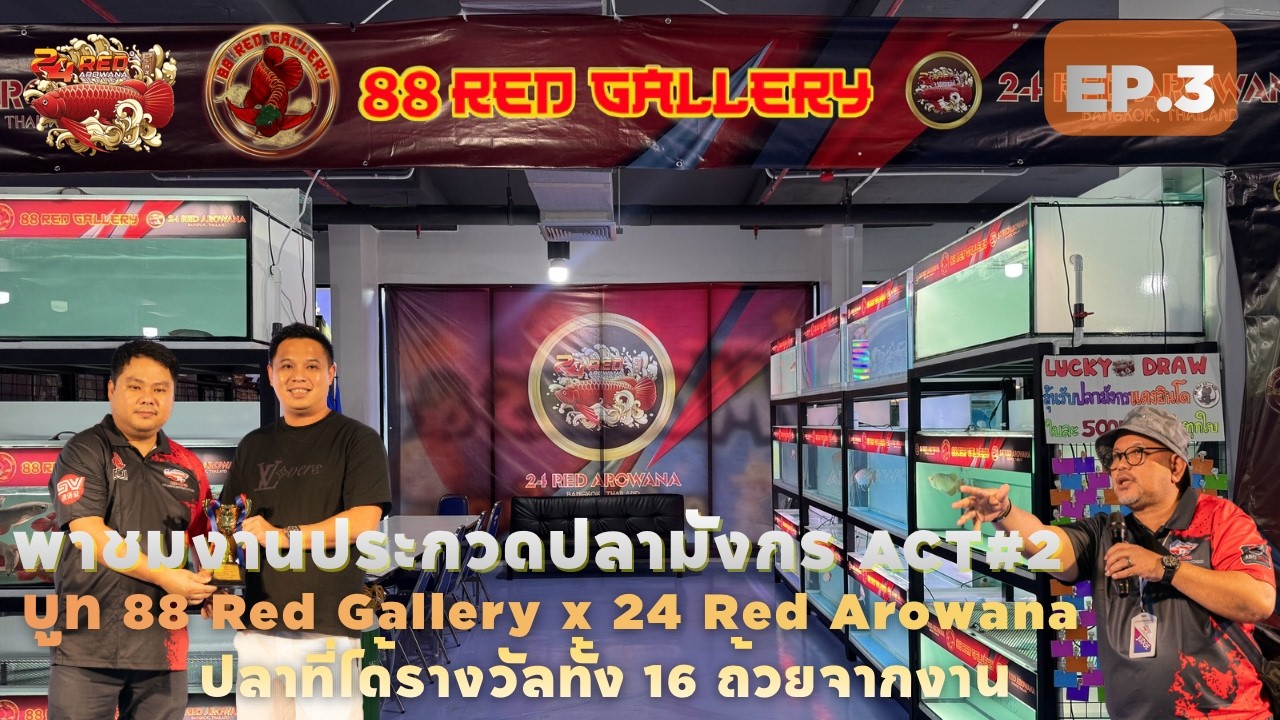 EP.3 พาชมบูทปลามังกร #88RedGallery ที่งานประกวดปลามังกร ACT2 ใหญ่ที่สุดในประเทศไทย