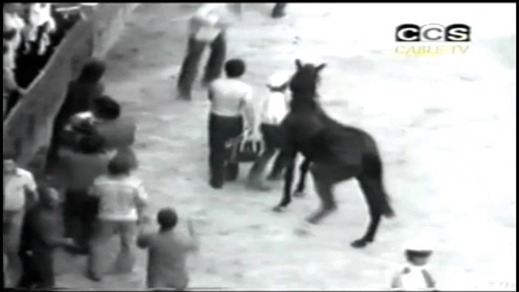 Palio 4 luglio 1979 - Tambus