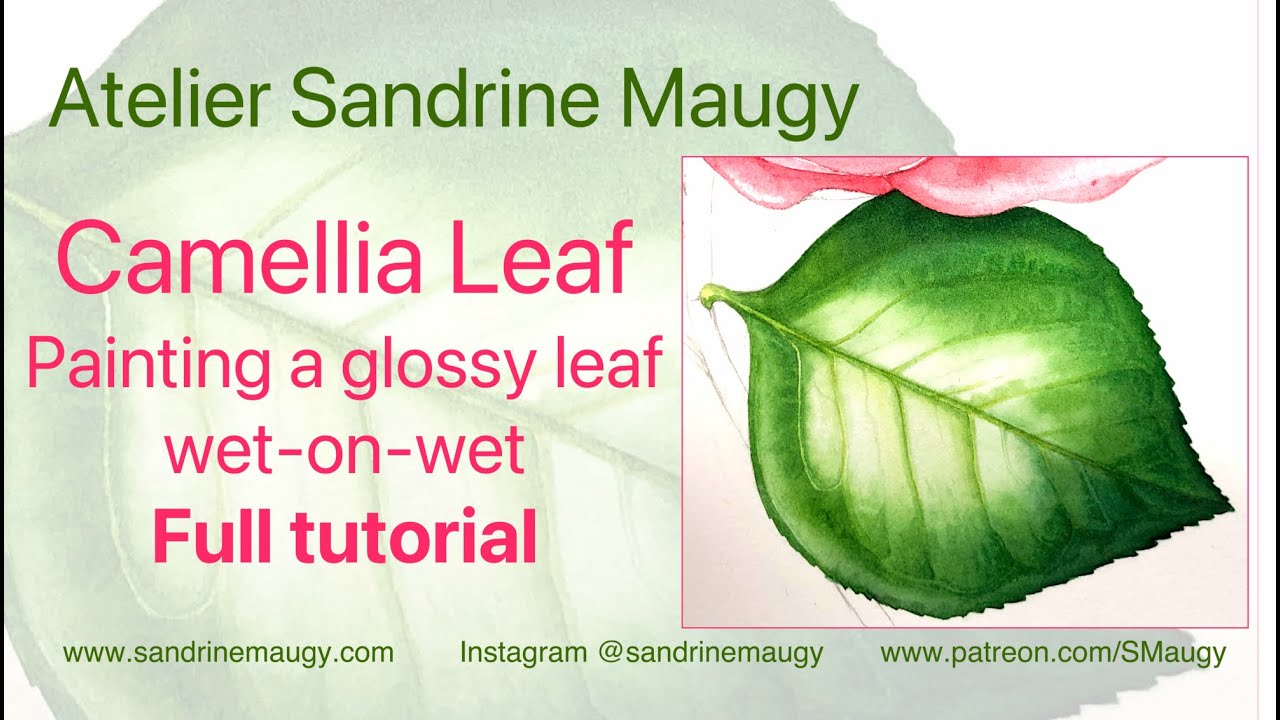 Glossy leaf with wet-on-wet watercolour - FULL TUTORIAL - Camellia leaf with Sandrine Maugy