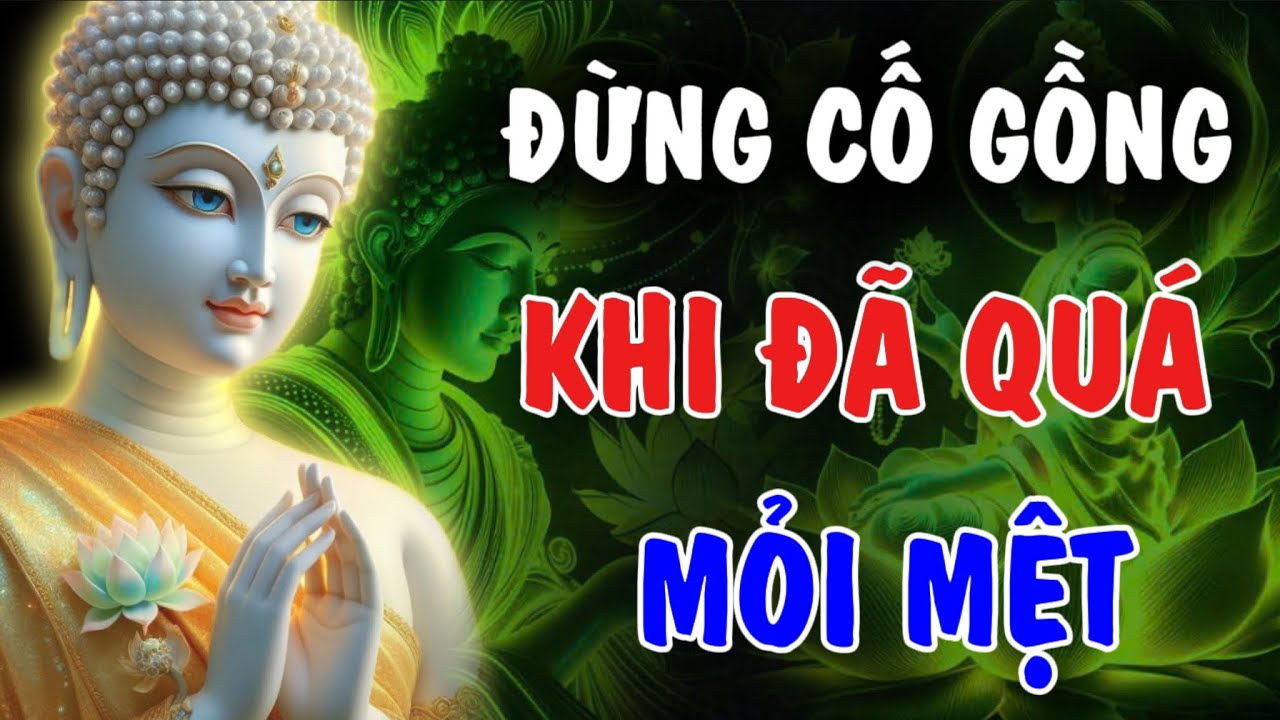 ĐỪNG CỐ GỒNG - KHI ĐÃ QUÁ MỎI MỆT, BIẾT BUÔNG LÀ TRÍ TUỆ | Phật Từ An Nhiên