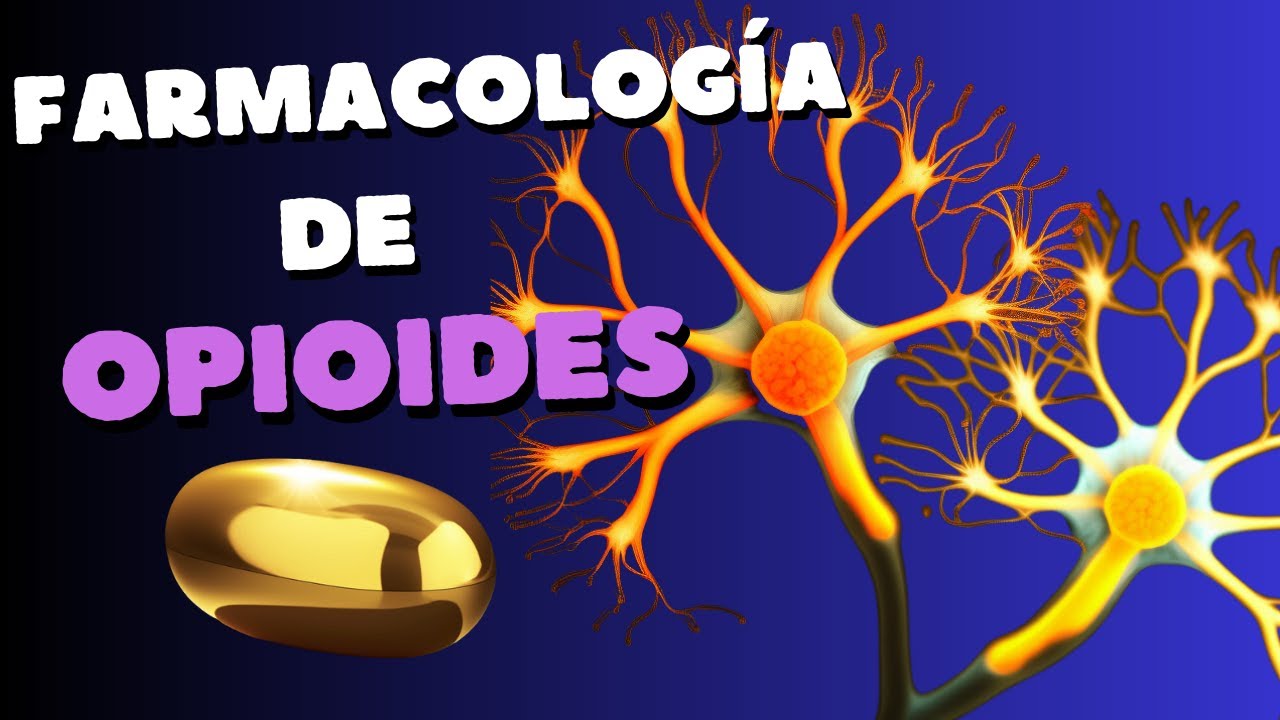 Farmacología del tramadol, la morfina y otros opioides
