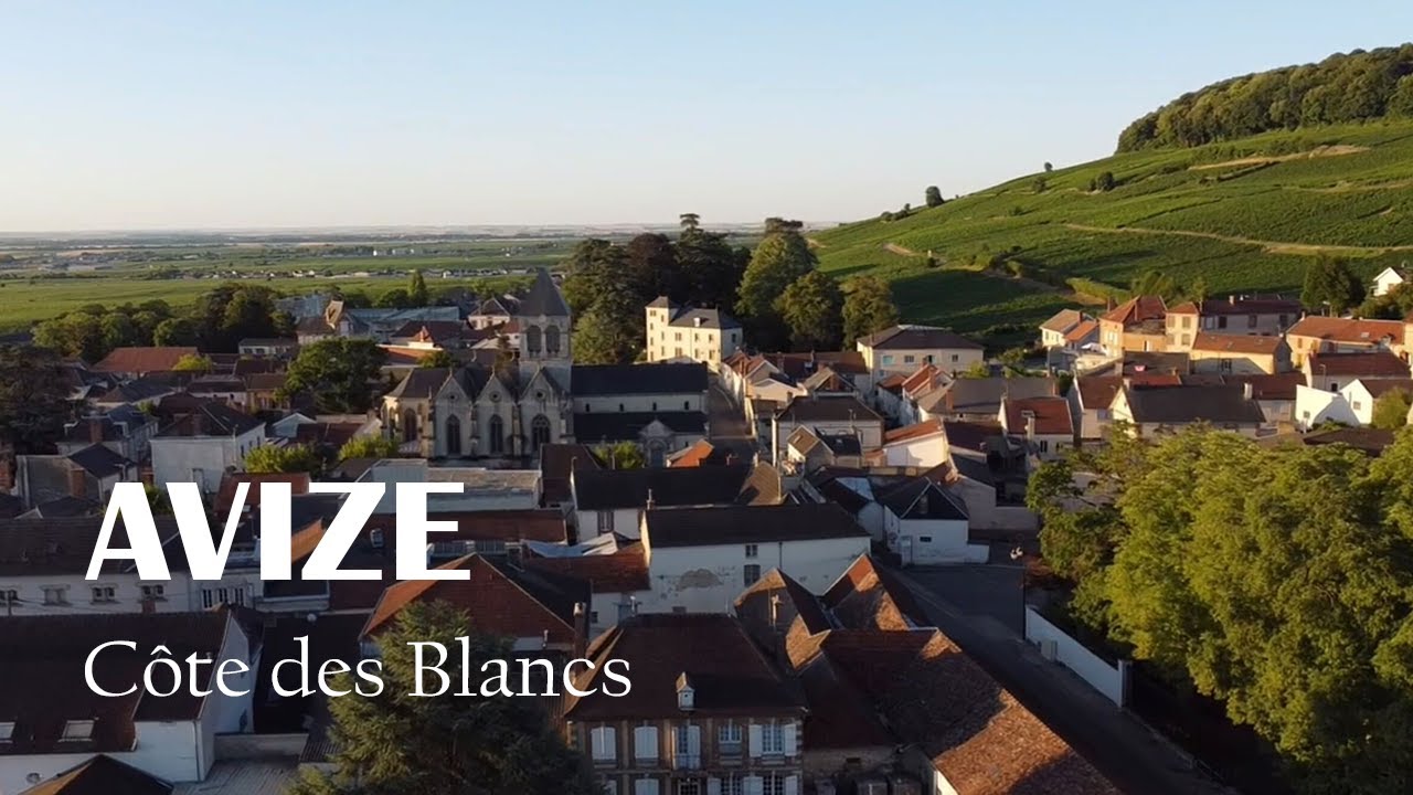Avize : C&ocirc;te des Blancs