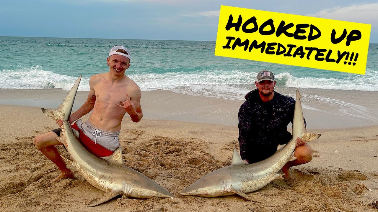Catching BLACKTIP Sharks During The MIGRATION | Instant Bites!