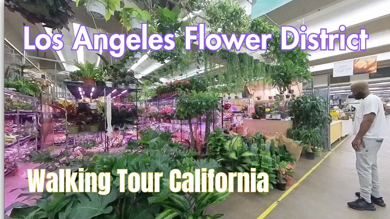 Exploring Los Angeles's Flower District: A Vibrant Walking Tour