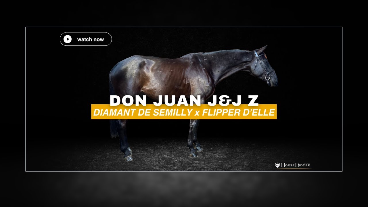 Don Juan -- HorseBidder 06/03