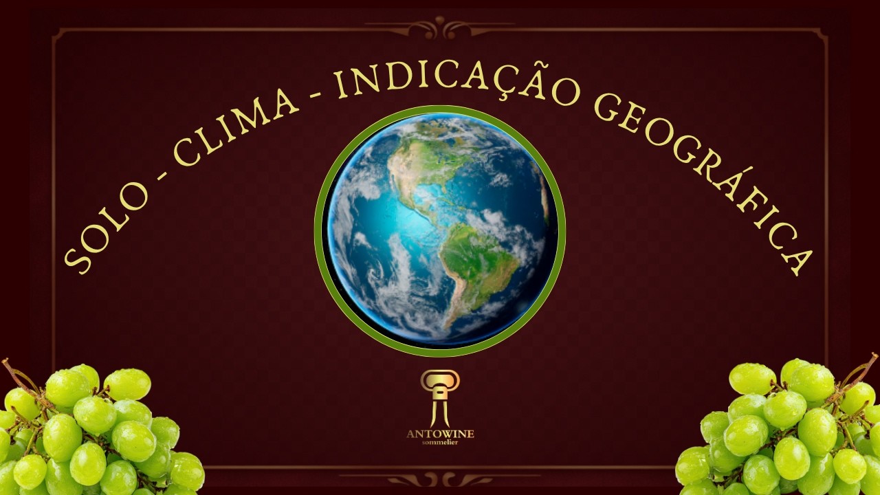 GEOGRAFIA x VINHOS - Estudar para entender