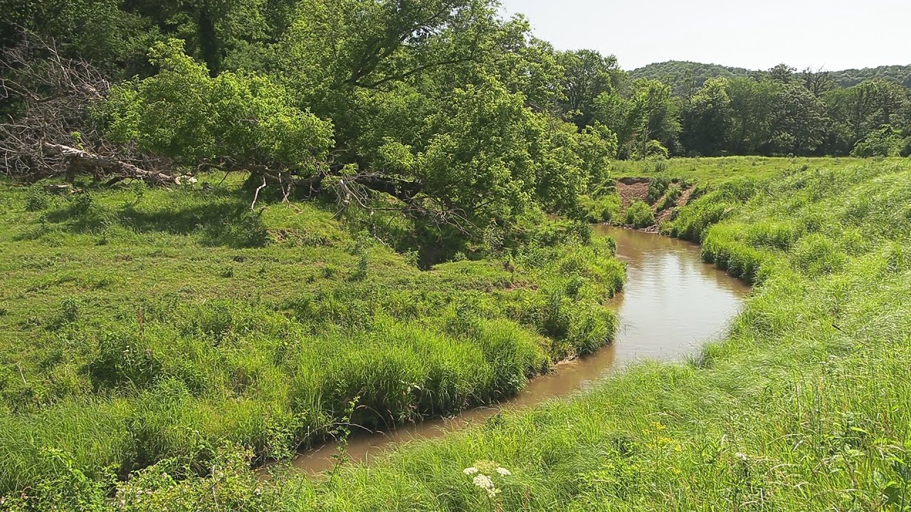 Fishing Badger Creek in Minnesota