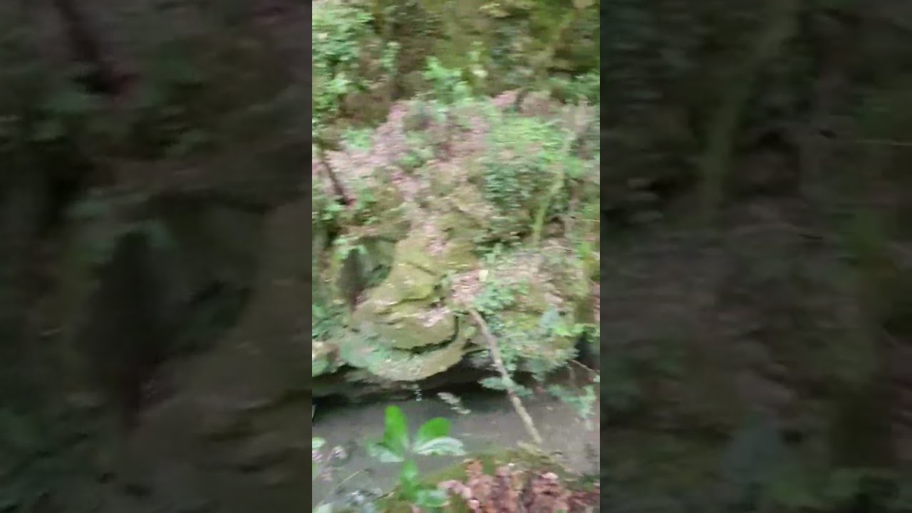 Le gole del Farfa tra Mompeo e Castelnuovo di Farfa (RI) pt2