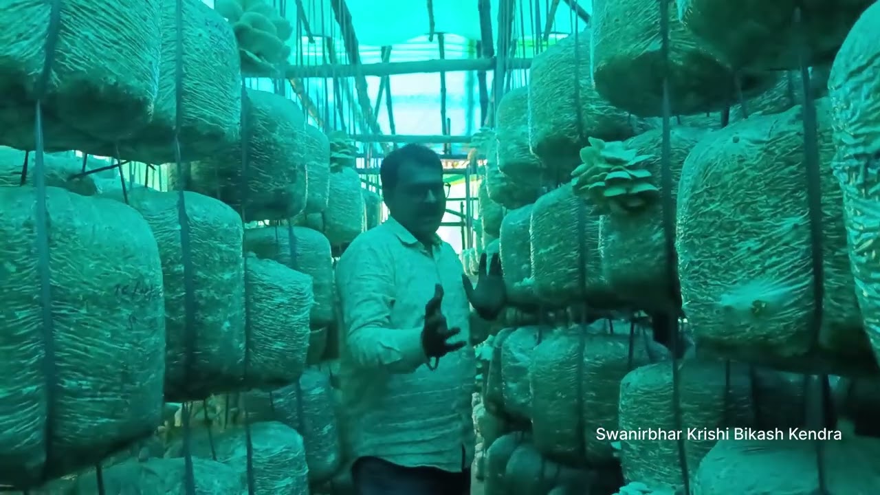 Swanirbhar Krishi Bikash Kendra | Mushroom Farming Guidance & Training | Start Your Own Business 🍄