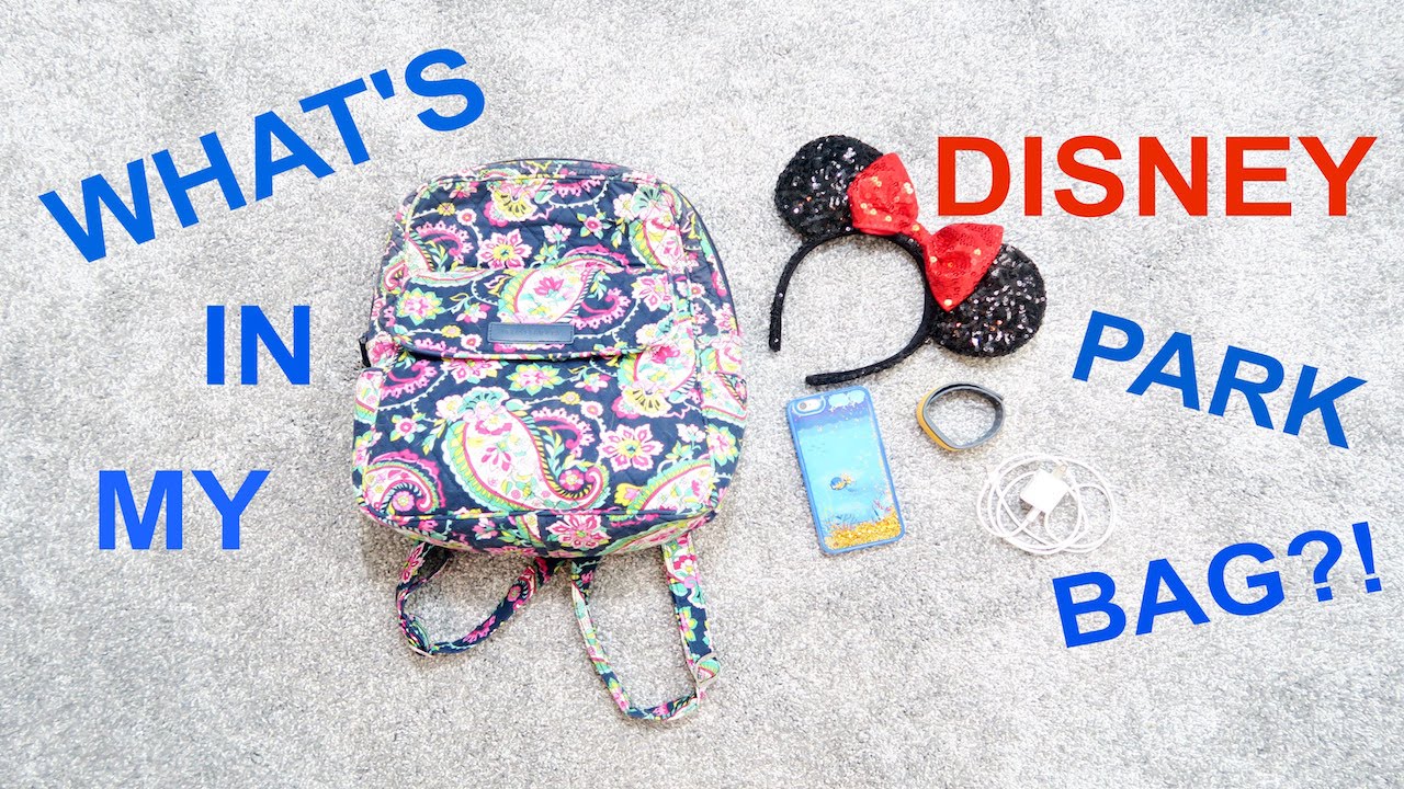 What's In My Disney Park Bag?!