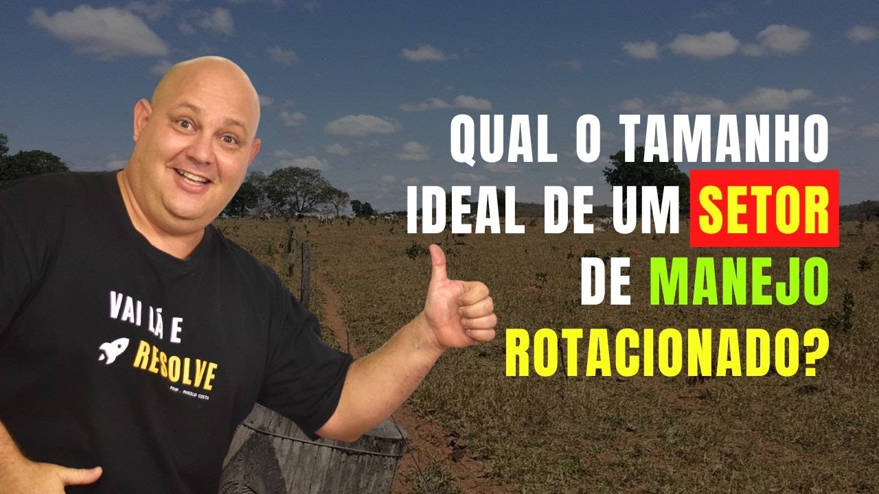 QUAL O TAMANHO IDEAL DE UM SETOR DE MANEJO ROTACIONADO? | PROF. MARCELO COSTA