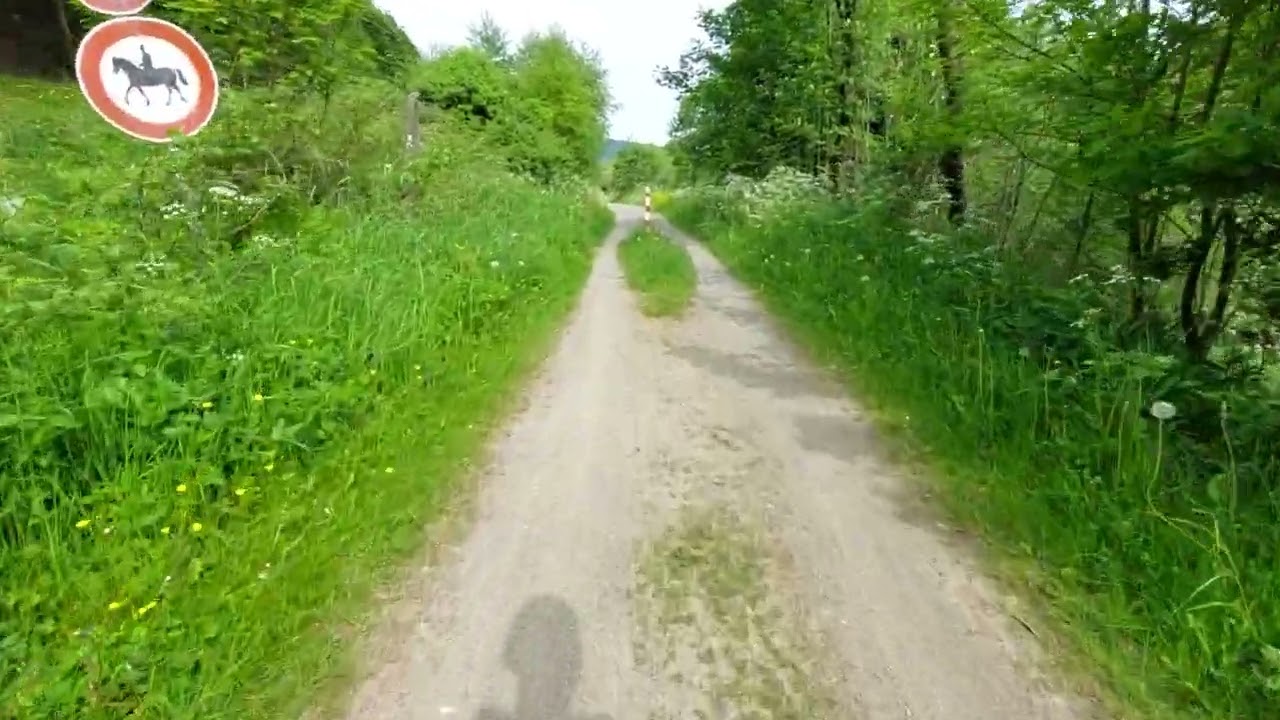 Winterberg Hildfeld nach Niedersfeld ins Grüne Spaziergang