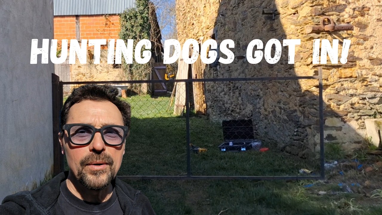 Added Security at My Farmhouse! Local Hunting Dogs were Loose!