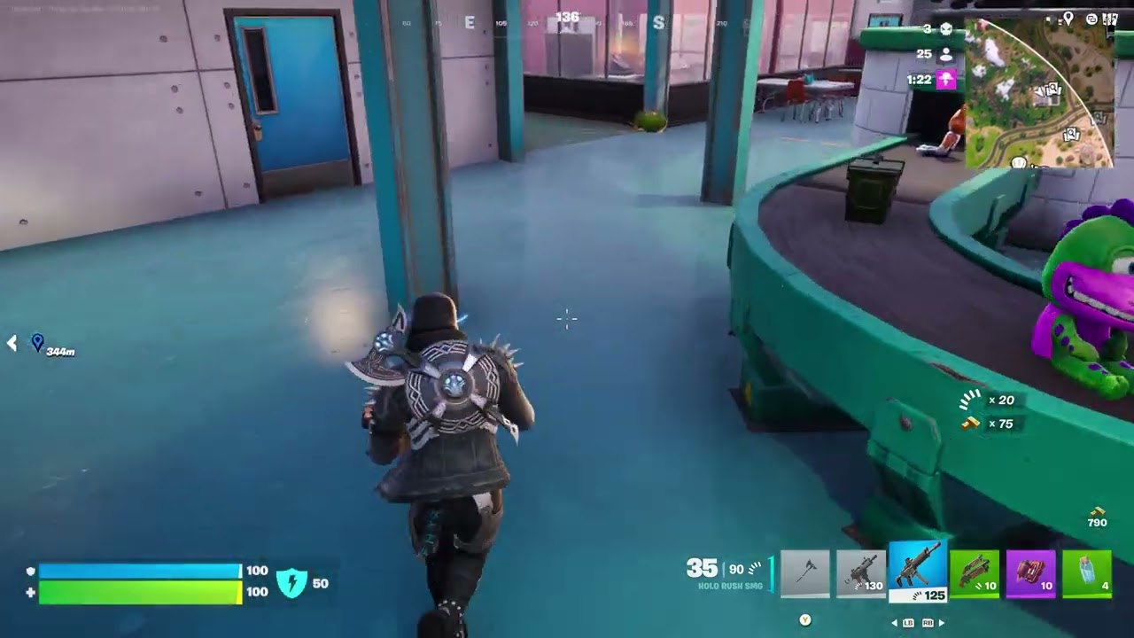 Fortnite  51 year old CatElf Wins Battle Royale