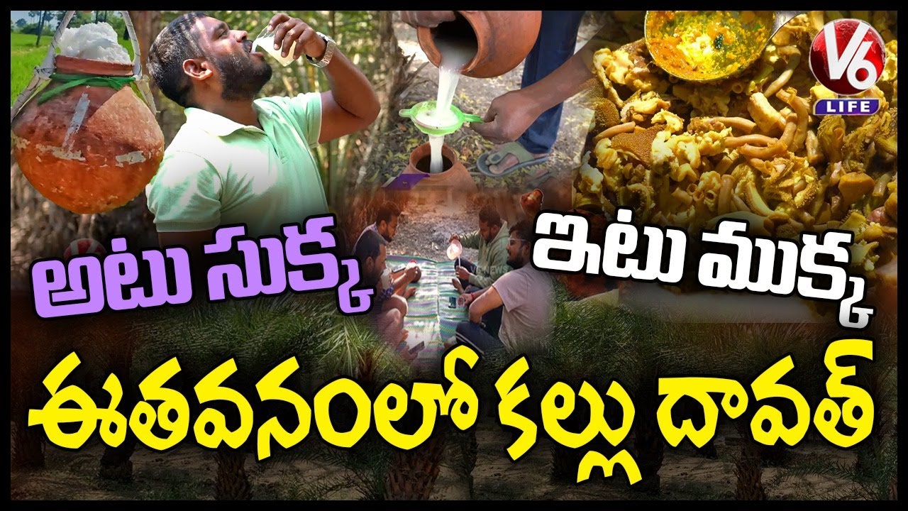 Eetha Vanam: Best Place To Hang Out With Family and Friends | Eetha Kallu | Rangareddy | V6 Life